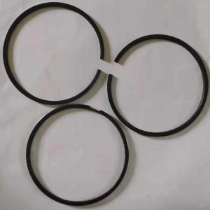Cummins Engine Piston Ring 4955651