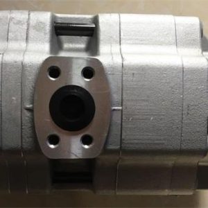 Hydraulic Gear Pump GPC4-63-20-2H7F4-30-R