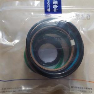 Outrigger Vertical Cylinder Seal Kit for Zoomlion QY25 Crane