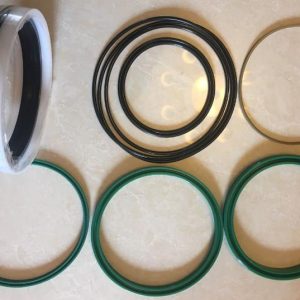 Telescopic Cylinder Ⅱ Seal Kit for SANY STC750 Crane