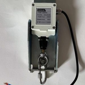 Zoomlion Limit Switch-A2B Switch 1020500007 1020500721