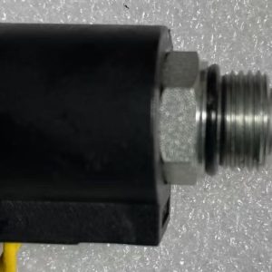 Solenoid Valve 1019803073 for Zoomlion Slewing Cushion Valve
